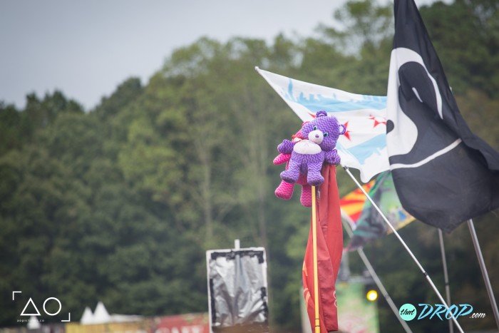 30 Hilariously Epic TomorrowWorld Totems