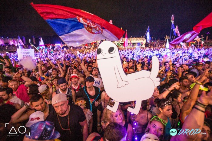 30 Hilariously Epic TomorrowWorld Totems