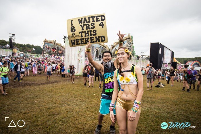 30 Hilariously Epic TomorrowWorld Totems