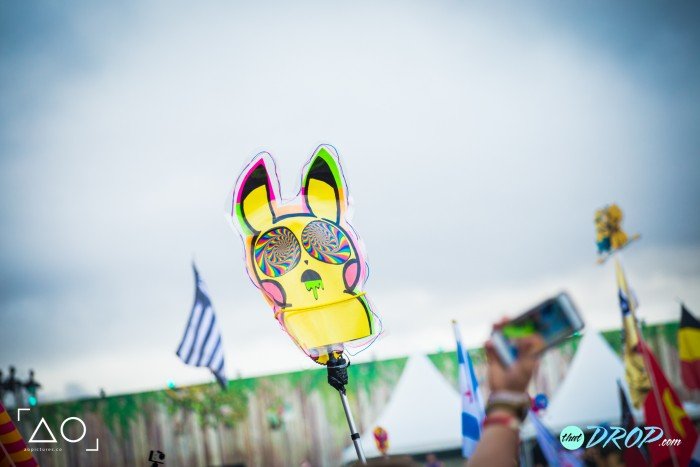 30 Hilariously Epic TomorrowWorld Totems