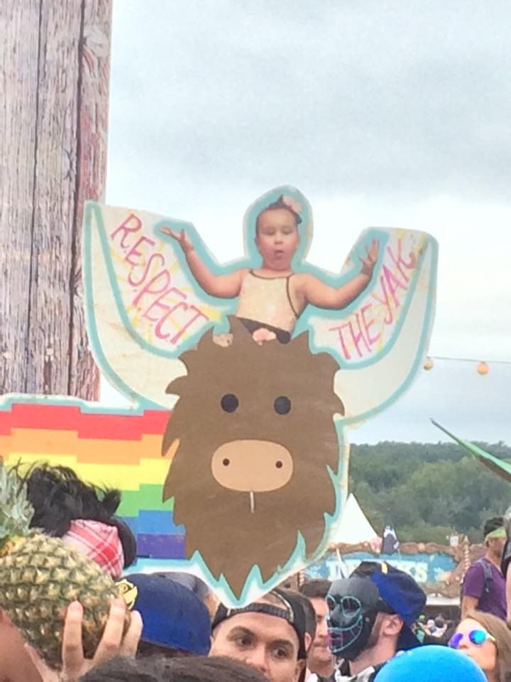 30 Hilariously Epic TomorrowWorld Totems