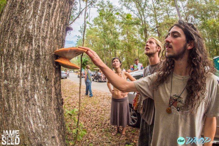 Suwannee Hulaween