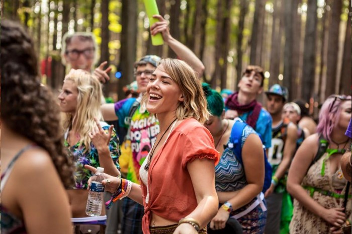 Electric Forest (Michigan). Photo - Electric Forest - Facebook.