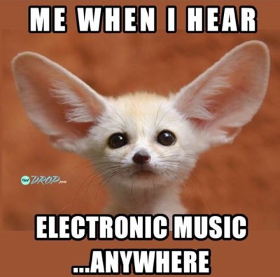 EDM Memes 2015