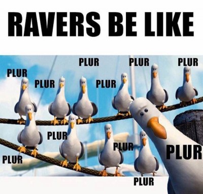 EDM Memes 2015