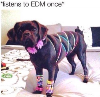 EDM Memes 2015