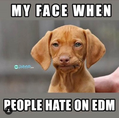 EDM Memes 2015