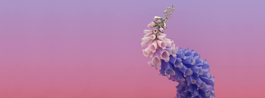 Flume Skin Album 2016