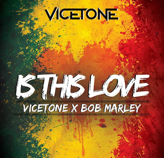 Bob Marley - Is This Love (Vicetone Remix)