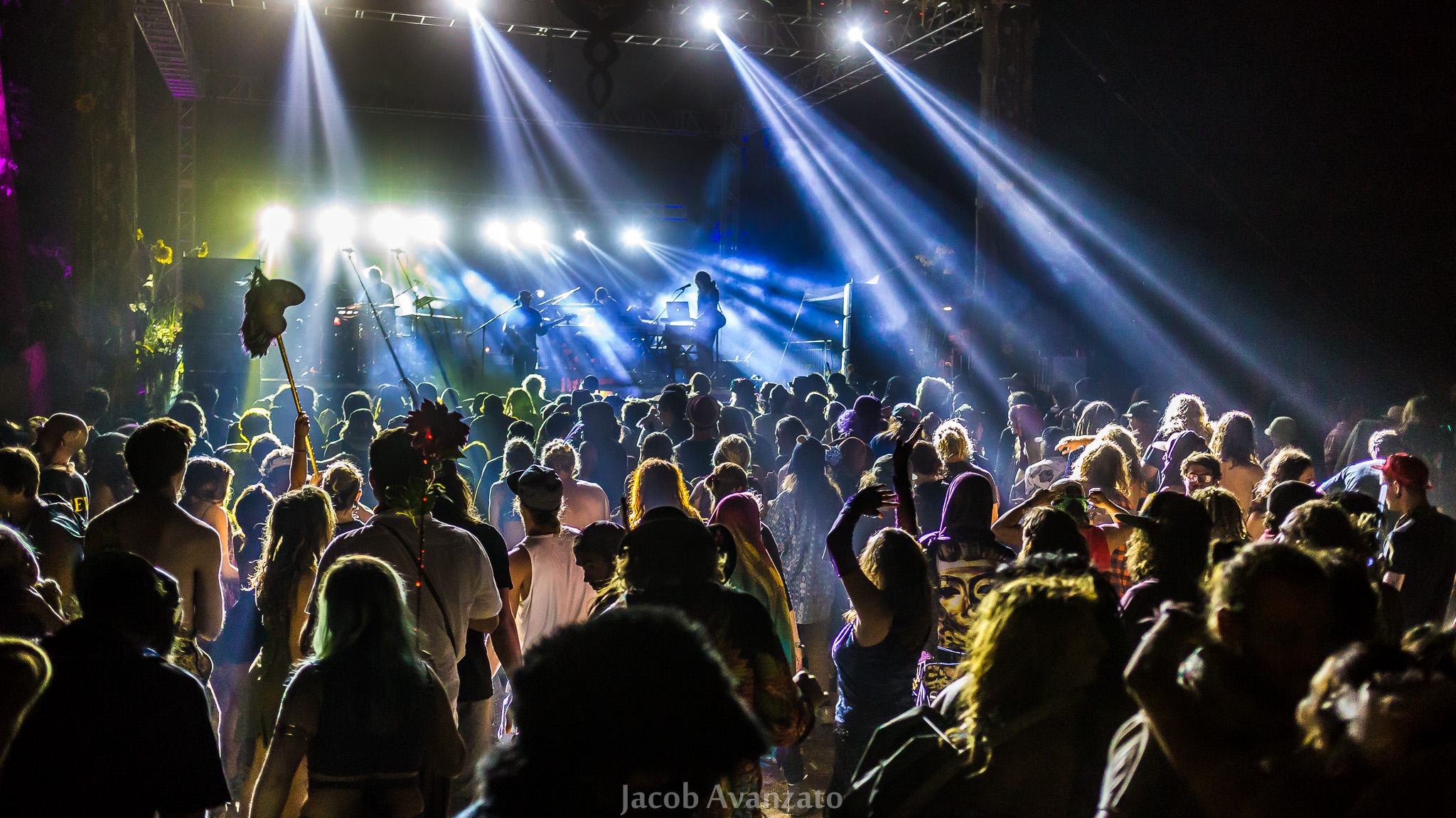 Enchanted Forest Gathering 2015