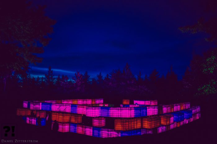 The Groove Qube Illuminates the Forest @ WTF