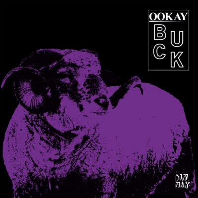 Ookay Buck [Dim Mak Records]