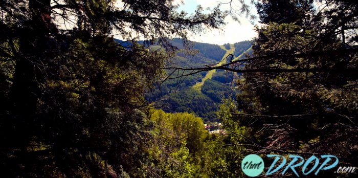 :: Telluride CO 5 minute walk from venue :: 