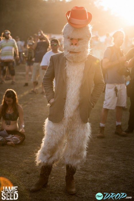 Suwannee Hulaween 2015 // Photo - Jamie Seed Photography