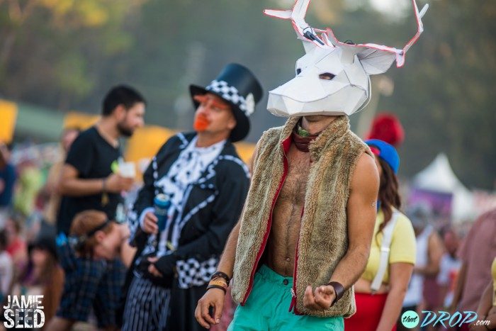 Suwannee Hulaween 2015 // Photo - Jamie Seed Photography