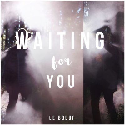 La Boeuf - Waiting For You