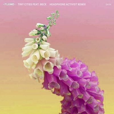 Flume - Tiny Cities Headphone Activist Remix