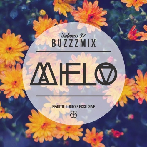 Buzzzmix Vol. 37 by Mielo