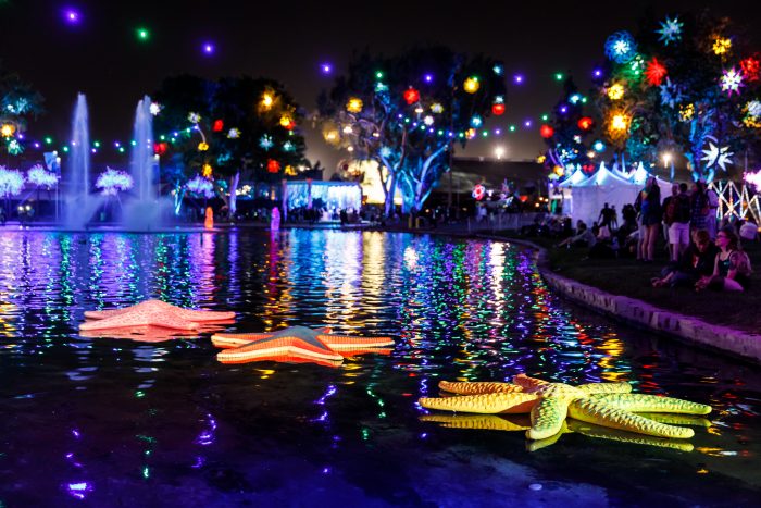 Beyond Wonderland Tyler Hill Photography