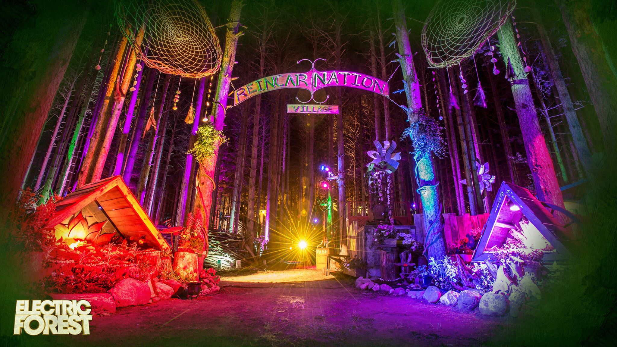 Electric Forest