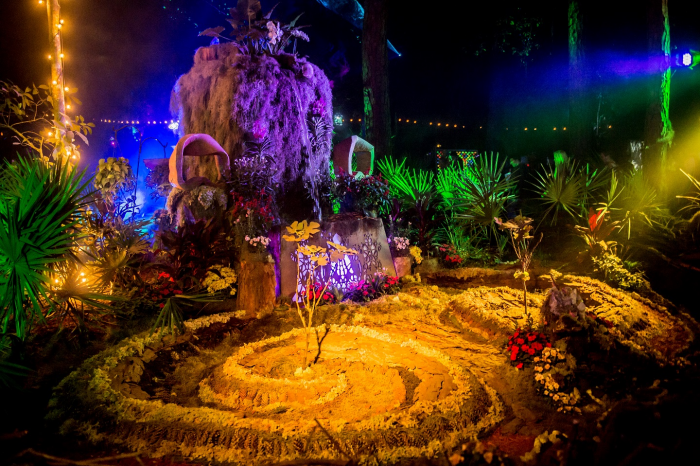 Suwannee Hulaween