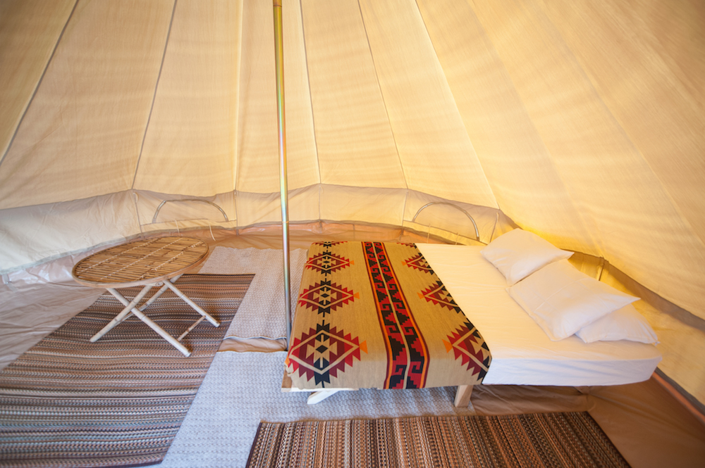 Electric Forest Reveals Lineup and Vitals for 2019 Run [Playlist]