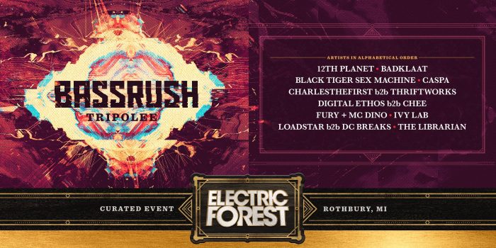 Electric Forest Reveals Additional Artists and Curated Events