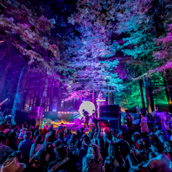 How Northern Nights Pioneers Music Festivals