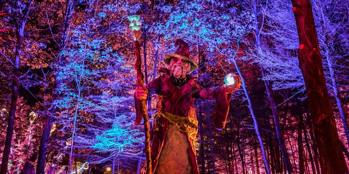 The Many Ways to &#039;Plug In&#039; to Electric Forest 2020