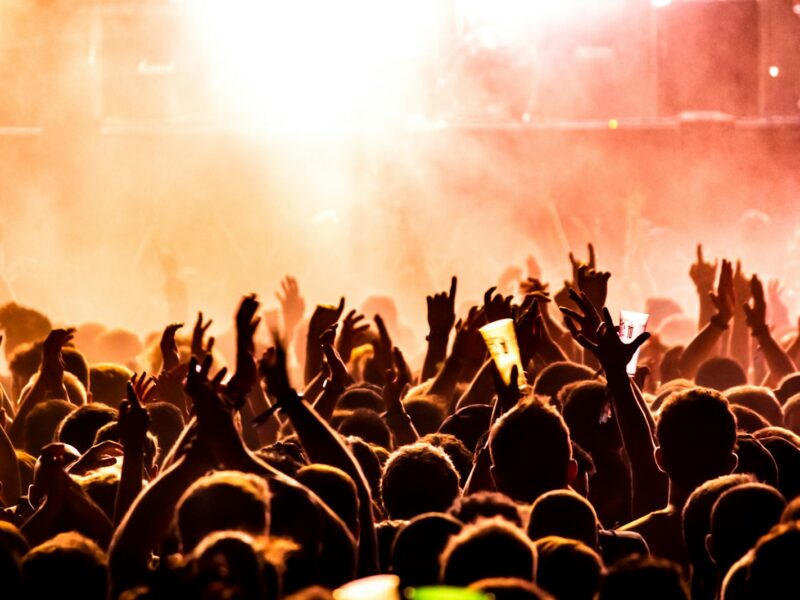 people raising their hands on concert