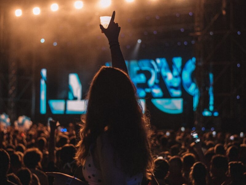 people watching concert during night time