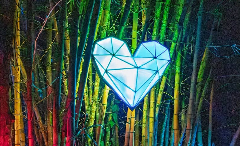 Music Festival in Costa Rica, Bliss Burn