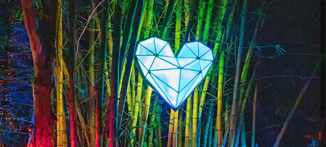 Music Festival in Costa Rica, Bliss Burn