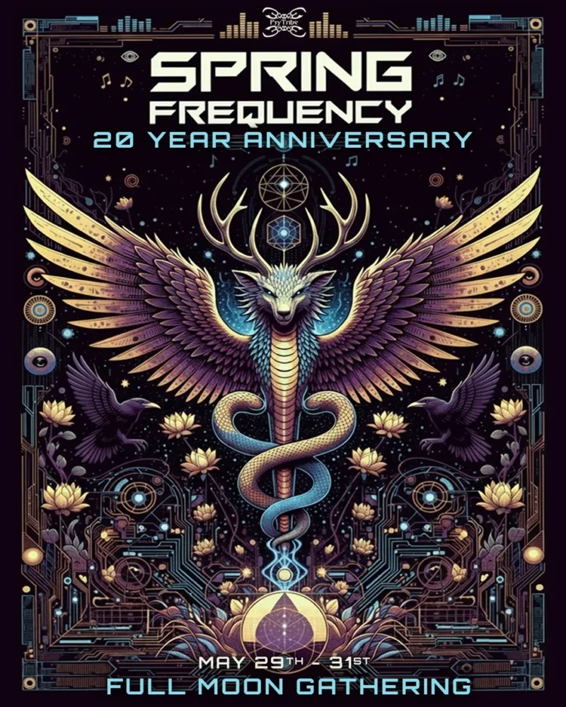 Spring Frequency 