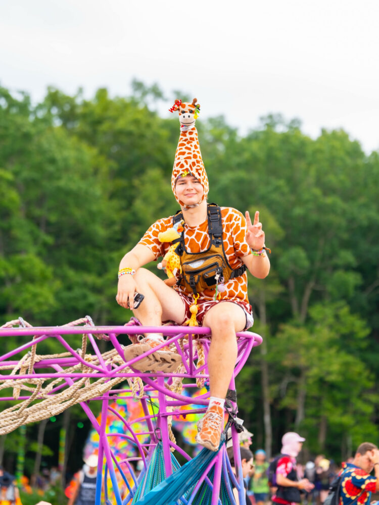 Giraffe at Elements Music photo credit Leesology