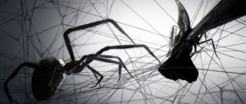 Spider web in Loom by Woodblock.tv